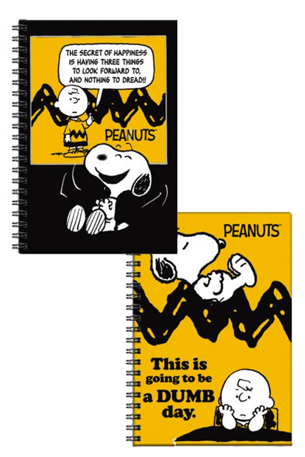 Τετράδιο σπιράλ 2 θέματα 17x25cm 1 τεμ Snoopy Peanuts 365-06402