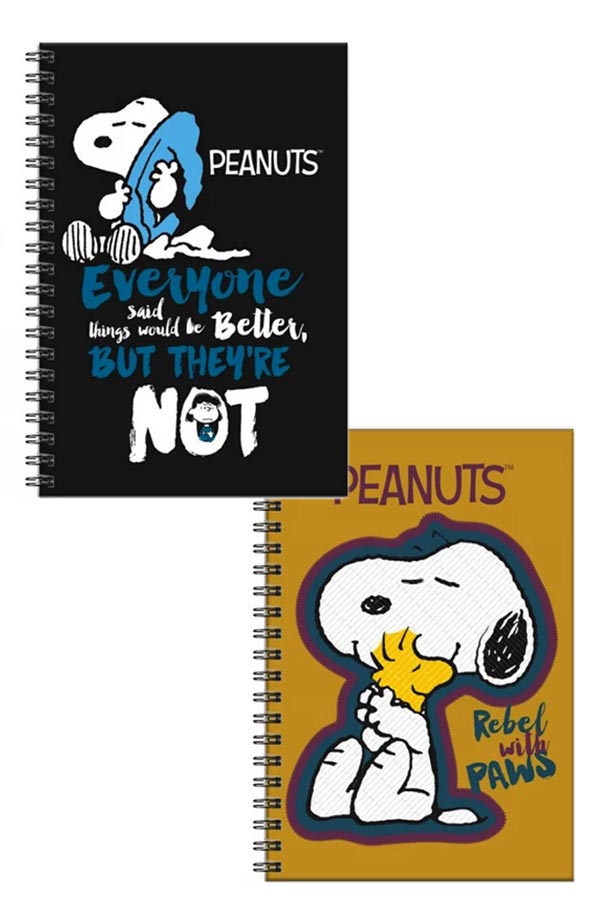 Τετράδιο σπιράλ 2 θέματα 17x25cm 1 τεμ Snoopy Peanuts 365-07402