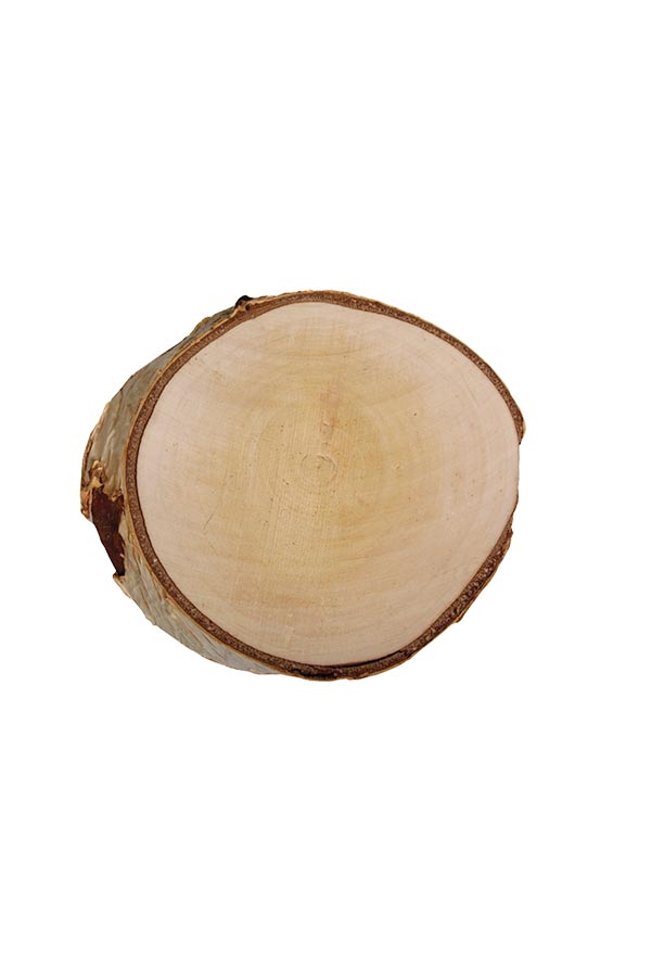 Κορμός δέντρου κομμένος στρογγυλός 17x2cm Rayher 85319000