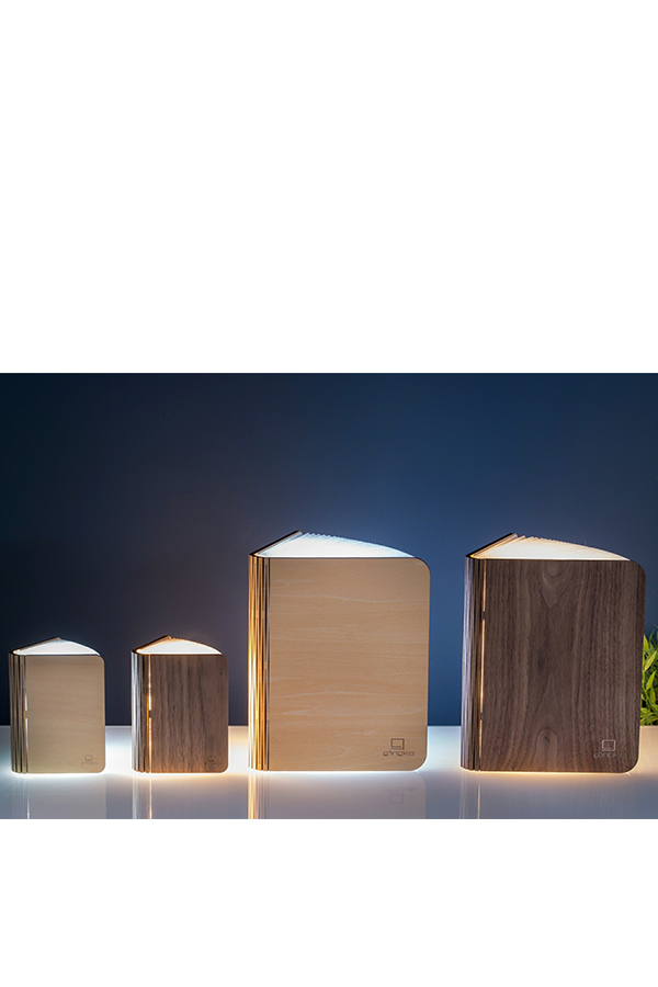 Φωτιστικό βιβλίο LED mini 3D gingko GK12W3