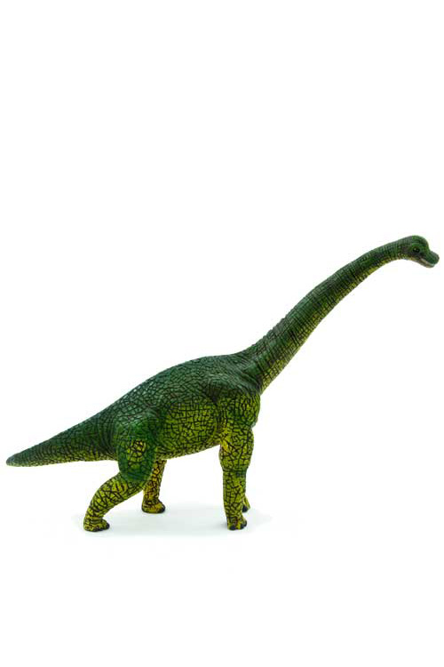 Μινιατούρα Βραχιόσαυρος 23x13cm Animal Planet 387044