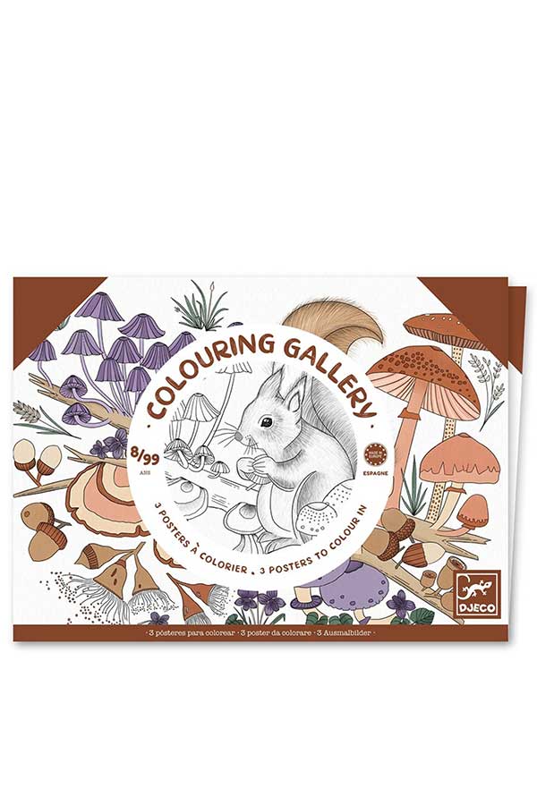 Ζωγραφίζω 3 πόστερ Djeco Φύση DJ08696